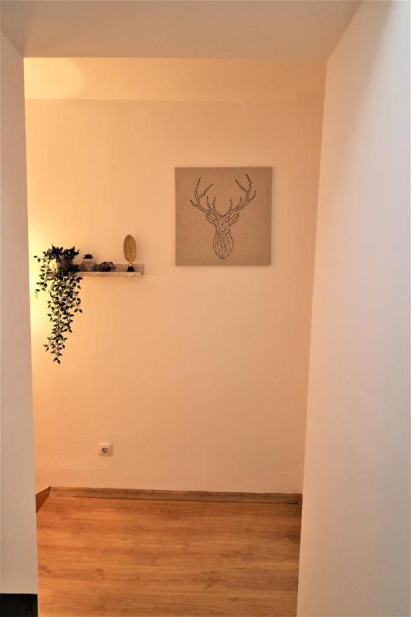 Cozy Old Town Apartment - Free Minibar Bucharest Exterior photo